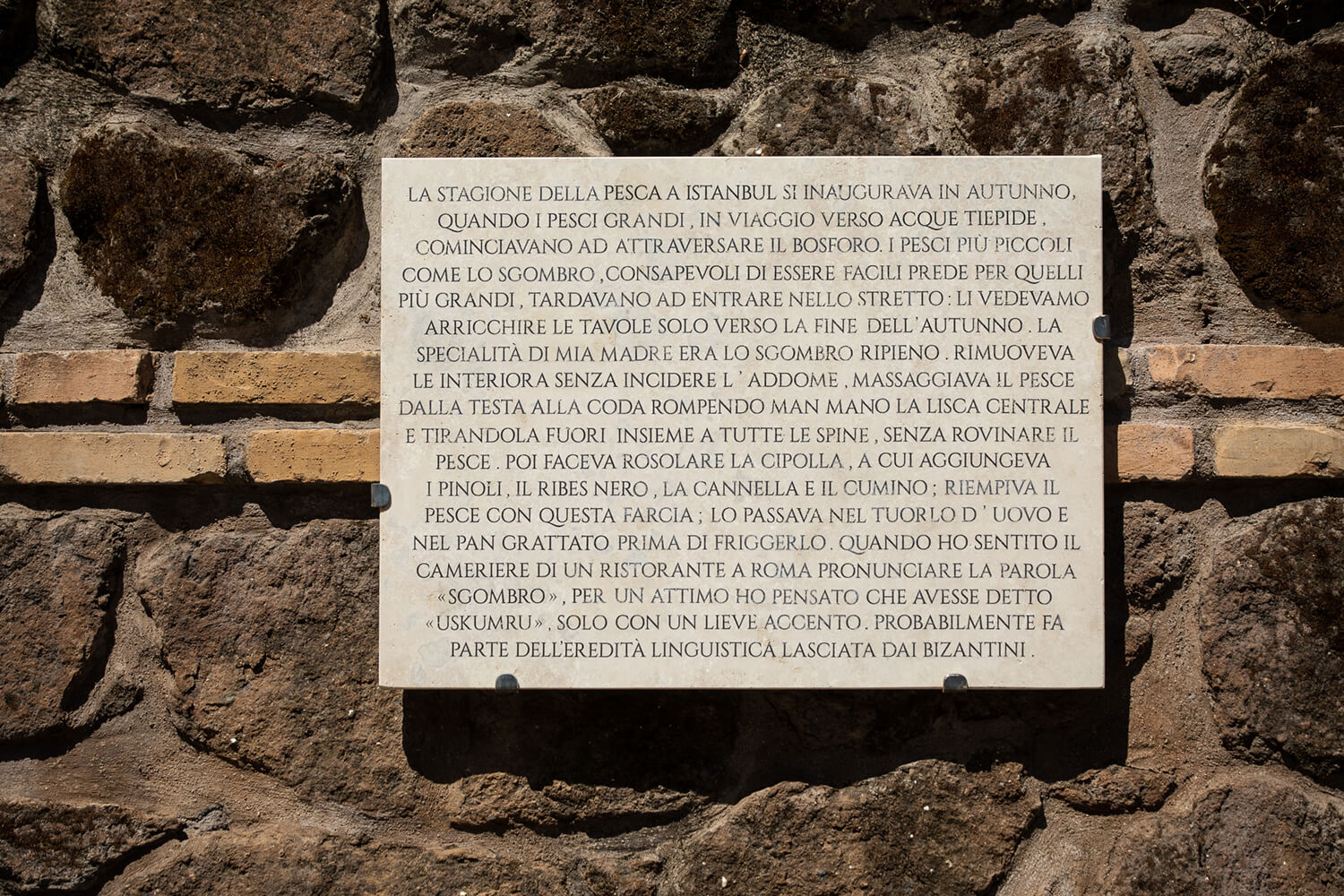 09_lastagione_uskumru-comp